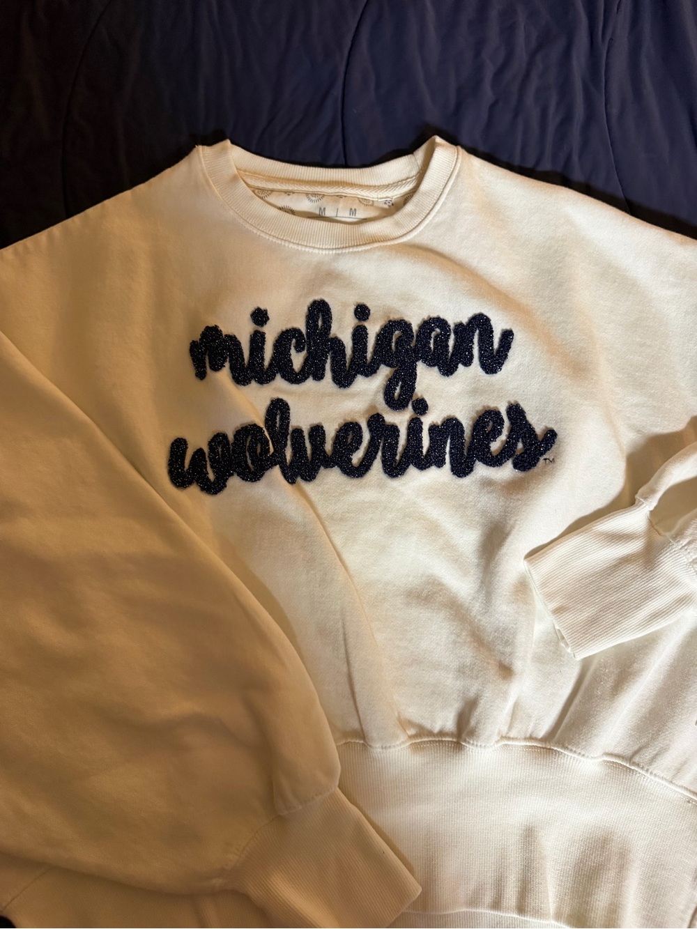 Pressbox Cream Sweatshirt with Navy Chenille Script - Picture 3 of 3